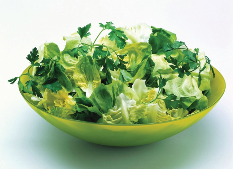 PARKER：如何獲取流量恒定的高純氮氣供應(yīng)特點？