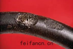 案例分享 | 確保液(yè)壓軟管安全運(yùn)行與維護的關鍵要點